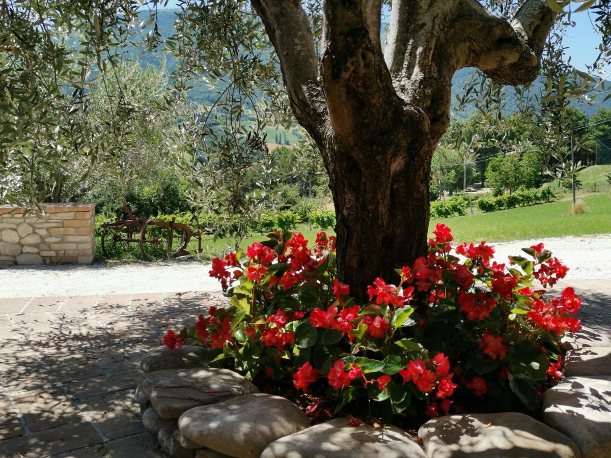 Agriturismo Sole Luna Piano Delle Pieve Εξωτερικό φωτογραφία
