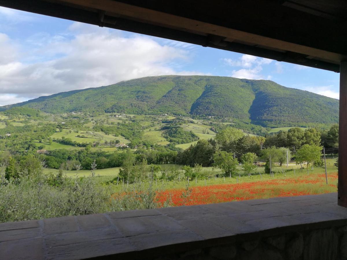 Agriturismo Sole Luna Piano Delle Pieve Εξωτερικό φωτογραφία
