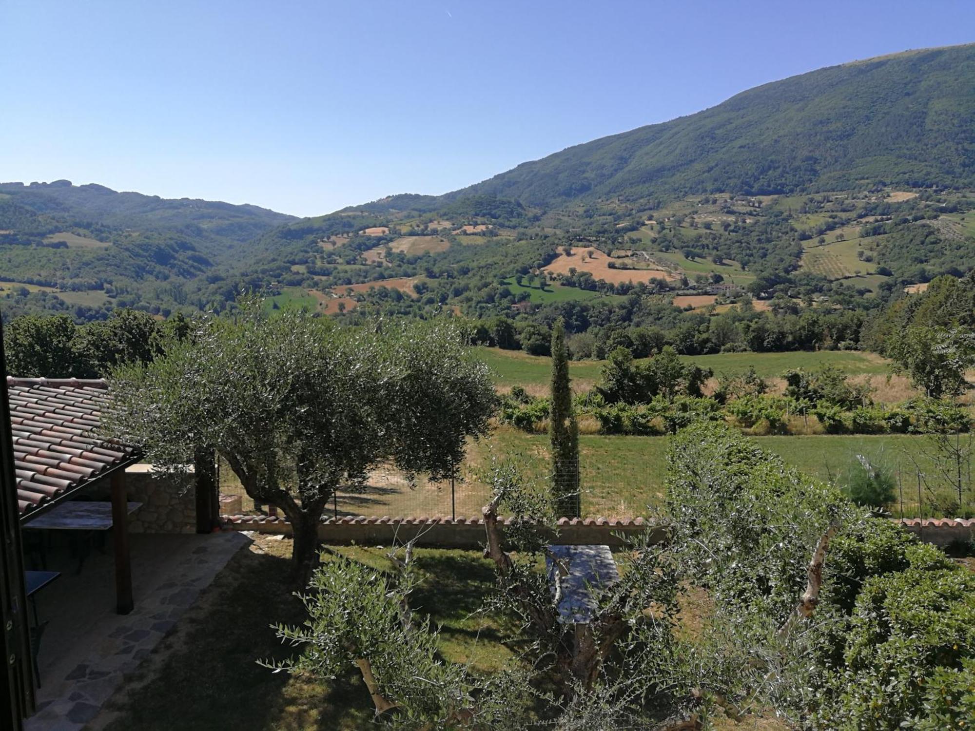 Agriturismo Sole Luna Piano Delle Pieve Δωμάτιο φωτογραφία